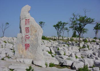 博山车辆违章查询
