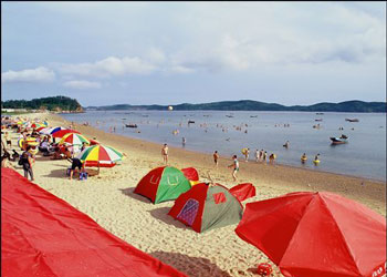 长海车辆违章查询
