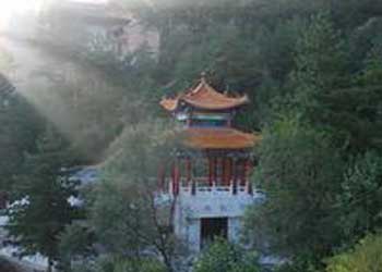 静乐车辆违章查询