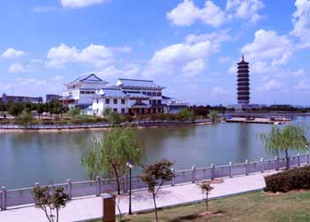 金溪车辆违章查询